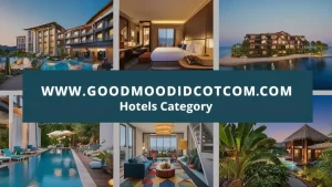 www.goodmooddotcom.com hotels category